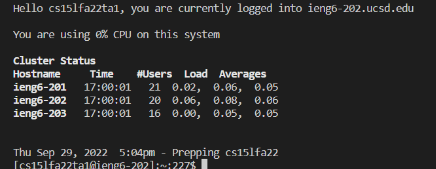 Terminal Post Login